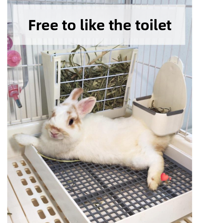 Large Pet Toilet for Rabbits Guinea Pigs Chinchillas
