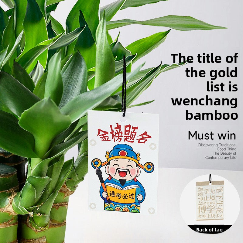 Hydroponic Bamboo Desk Plant with Ceramic Pot
